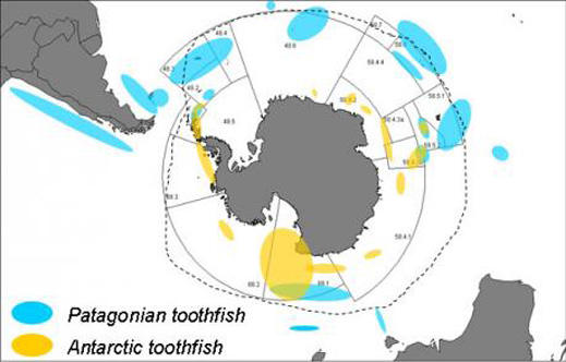 toothfish_map